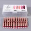 Nail Tips D&Z 5 Cores