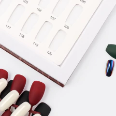 Album Para 120 Unhas Para Decoração E Exposição - comprar online