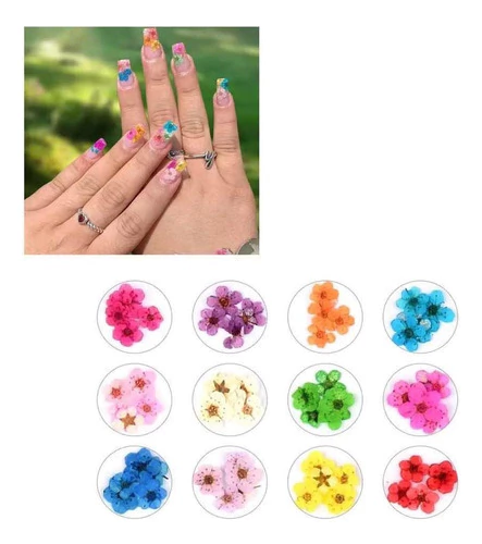 Kit 12 Potes Com Flores Secas Modelos Variado Nail Art Unhas
