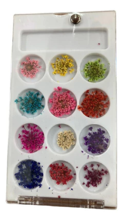 Kit 12 Potes Com Flores Secas Modelos Variado Nail Art Unhas na internet