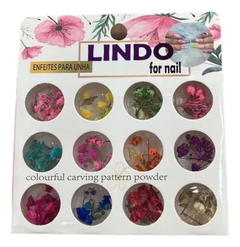 Decoração Para Unhas Nail Flor Seca 12 Potes Art Designer Cor Diversos