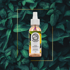 Prep Sanitizer Higienizador Nails 21 Chá E Bergamota 125ml - comprar online