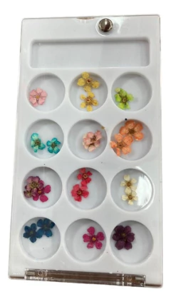 Kit 12 Potes Com Flores Secas Modelos Variado Nail Art Unhas - comprar online