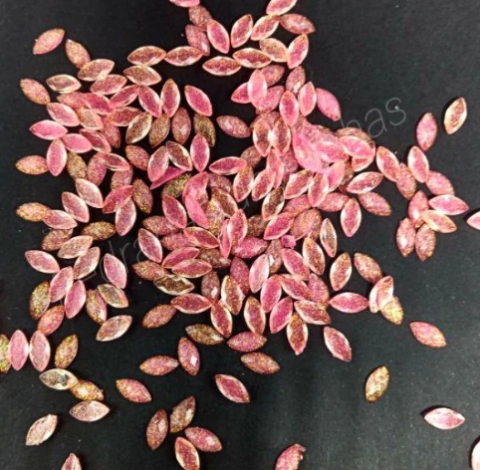 Pacote com aprox. 10 Navetes Gliter