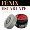 Gel Painting Fenix Escarlate Adore