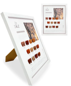 Caixa Coleção Cacau Esmaltes + Brinde Mostruário na internet