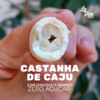 ☆ ZERO AÇÚCAR - Castanha de Caju com Chocolate Branco