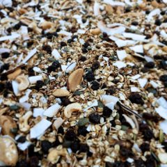 GRANOLA TRADICIONAL premium 400g na internet