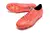 Mizuno Alpha Japan FG na internet
