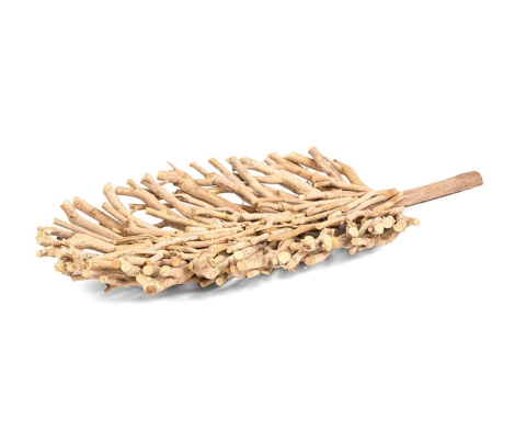 FOLHA GALHOS MADEIRA P