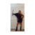 Vestido Rihanna en internet