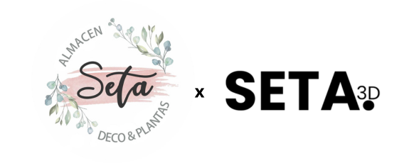 Seta