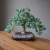 Quartzo Verde - Árvore 20cm