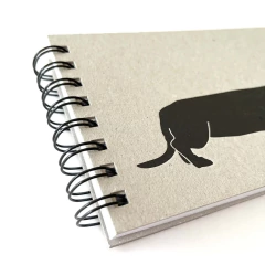 Cuaderno Salchi en internet