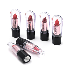 Imagen de CAJA x 24u.//LAPIZ LABIAL PERLADO//SKR//COD:39592