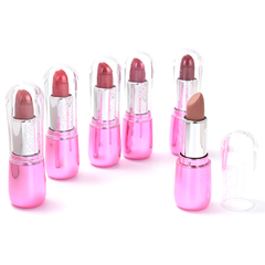Imagen de CAJA x 24u.//LAPIZ LABIAL//MATE//SKR//COD:39595