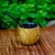 Mate Snitch Dorada