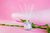 Kit Completo - Bambu - Casa Allure