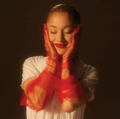 Banner de la categoría Ariana Grande
