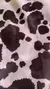 Short Animal Print (913)