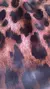 Imagem do Short Animal Print (913)