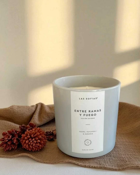ENTRE RAMAS Y FUEGO VELA EDICION ESPECIAL RITUALES DE INVIERNO - Gris - comprar online