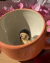 Pocahontas Mug on internet