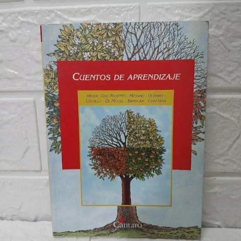 Cuentos De Aprendizaje - Liliana Heker - Usado - Cántaro