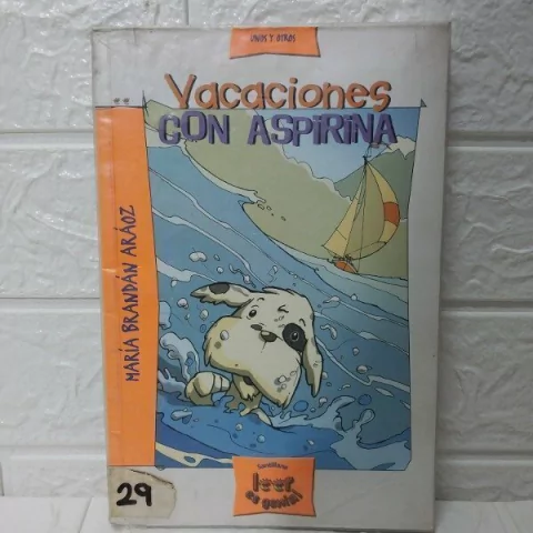 Vacaciones Con Aspirina - María Brandán Aráoz - Usado - Santillana