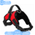 Pretal Arnes Acolchonado para Perros