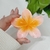 Imagen de Hawai