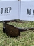61008 Pace 2 Todas as cores - Norep Eyewear