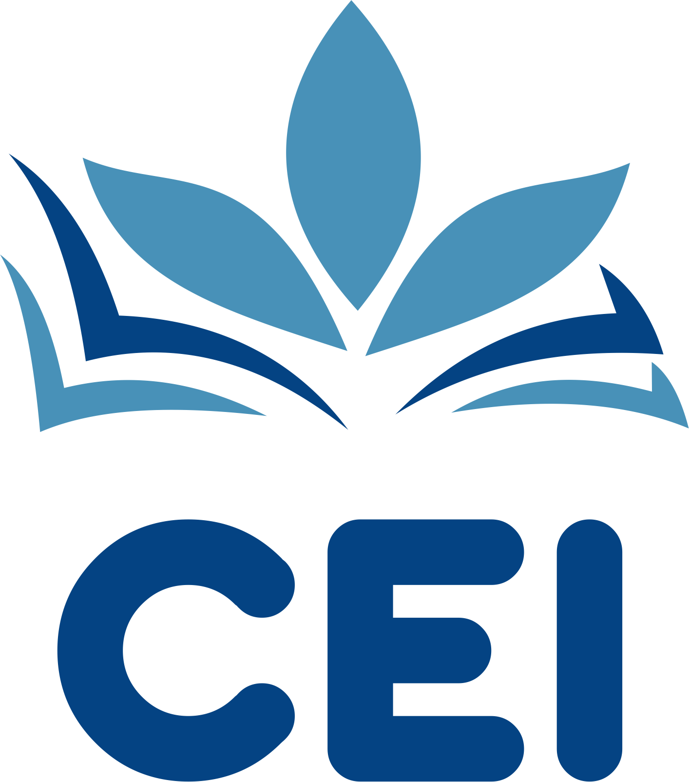 Loja CEI
