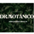 ACETIL CARNITINA 1000MG 6 POTES 60 CAPS DR BOTANICO
