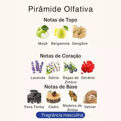 Perfume Árabe Masculino Fakhar Preto A007 – 25ml – Aromático Amadeirado - Wolf Magazine