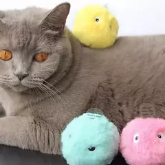 Brinquedos De Bola De Gato Inteligentes Kitten Plush Treinamento Elétrico Interativo Toque De Sonorização Do Produto Pet Squeak na internet