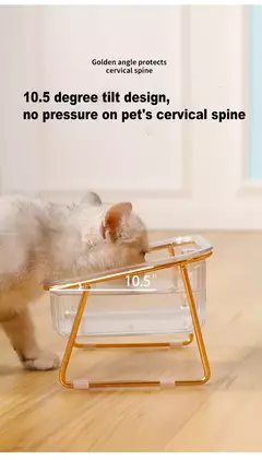 Imagem do Tigela dupla transparente para animais de estimação, tigela alta para gato, bebida, água, comida para gatos com suporte dourado, alimentador de água elevado, tigela para cães
