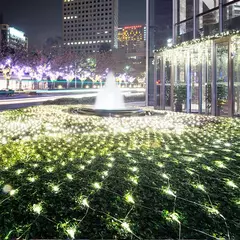 Impermeável Net Mesh Luzes LED, Fada Cortina, Guirlanda, Exterior, Jardim, Decoração de Casamento, Festa de Natal, 3m, 6m, 12m