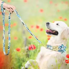 Personalizado Dog Collar e Leash Set, Nylon Imprimir Cães ID Coleiras, Pet Chumbo Corda Belt, Flor Acessórios, Small Medium Large Dogs - Wolf Magazine