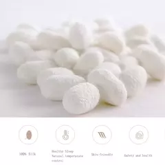 Lanlika-Luxo Natureza Branco Conjunto De Cama, Capa De Edredão, Lençol Plano, Roupa De Cama, Fronha Para Dormir, Duplo, Rainha, Rei, 100% Seda, Presente - Wolf Magazine