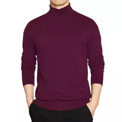 Suéter masculino de gola alta qualidade, pulôver básico sólido gola de tartaruga, preto, vinho, vermelho, verde, cinza, roxo, malhas, homens - loja online