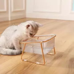 Tigela dupla transparente para animais de estimação, tigela alta para gato, bebida, água, comida para gatos com suporte dourado, alimentador de água elevado, tigela para cães - Wolf Magazine