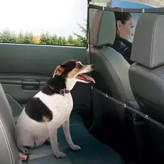 Rede de isolamento de segurança do cão da cerca do animal de estimação do carro durável crianças viagem ferroviário barreira malha filhote de cachorro palito anti-colisão esteira suprimentos de kitt na internet