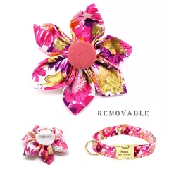Personalizado Dog Collar e Leash Set, Nylon Imprimir Cães ID Coleiras, Pet Chumbo Corda Belt, Flor Acessórios, Small Medium Large Dogs - loja online