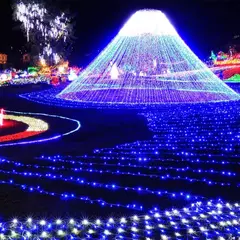 LED String Fairy Light, Luzes de Natal para festa de casamento, Luzes de férias, 8 modos, 5m, 10m, 20m, 30m, 50m, 100m - loja online
