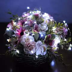 Imagem do Fio de cobre LED String Fairy Lights, a pilhas, Natal, Decoração de casamento, 3x100 m, 2m, 3m, 5m, 10m