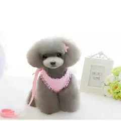 Guia para coleira de cachorro e gato, pequeno, pérola, fofo, asas de anjo, princesa, pet, cachorros, correias ajustáveis - Wolf Magazine