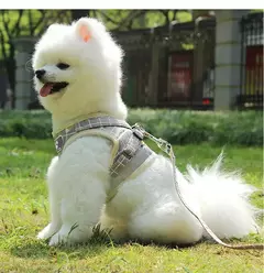 Imagem do Arnês para cães de náilon colete de malha respirável ajustável conjunto de arnês e trela para cães pequenos gatos coleira reflexiva para animais de estimação para filhote de cachorro