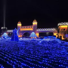 LED String Fairy Light, Luzes de Natal para festa de casamento, Luzes de férias, 8 modos, 5m, 10m, 20m, 30m, 50m, 100m