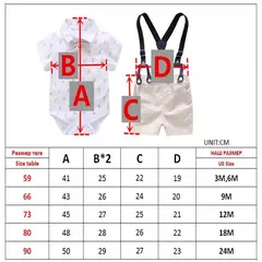 Roupa de aniversário de algodão para recém-nascidos, macacão formal, macacão infantil, roupas para 3, 6, 9, 12, 18, 24 meses, verão na internet